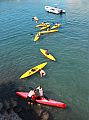 19 IMG_9502 4X3.jpg